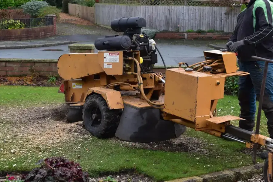 How Tree Removal Helps Prevent Storm-related Damage Jupiter, FL How Tree Removal Helps Prevent Storm-related Damage Jupiter, FL