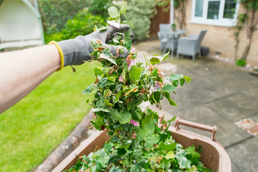 How Yard Debris Removal Improves Curb Appeal Jupiter, FL How Yard Debris Removal Improves Curb Appeal Jupiter, FL
