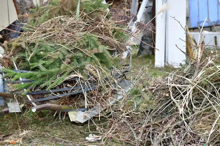 How Yard Debris Removal Improves Curb Appeal in Jupiter, FL How Yard Debris Removal Improves Curb Appeal in Jupiter, FL