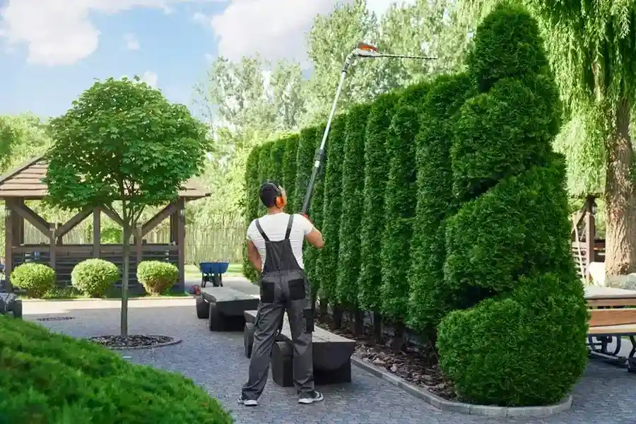 Reputable Hedge Trimming Jupiter, FL Reputable Hedge Trimming Jupiter, FL