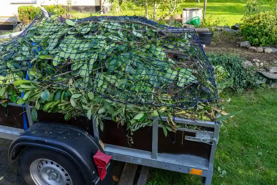 Steps To Prepare For Yard Debris Removal Services Jupiter, FL Steps To Prepare For Yard Debris Removal Services Jupiter, FL