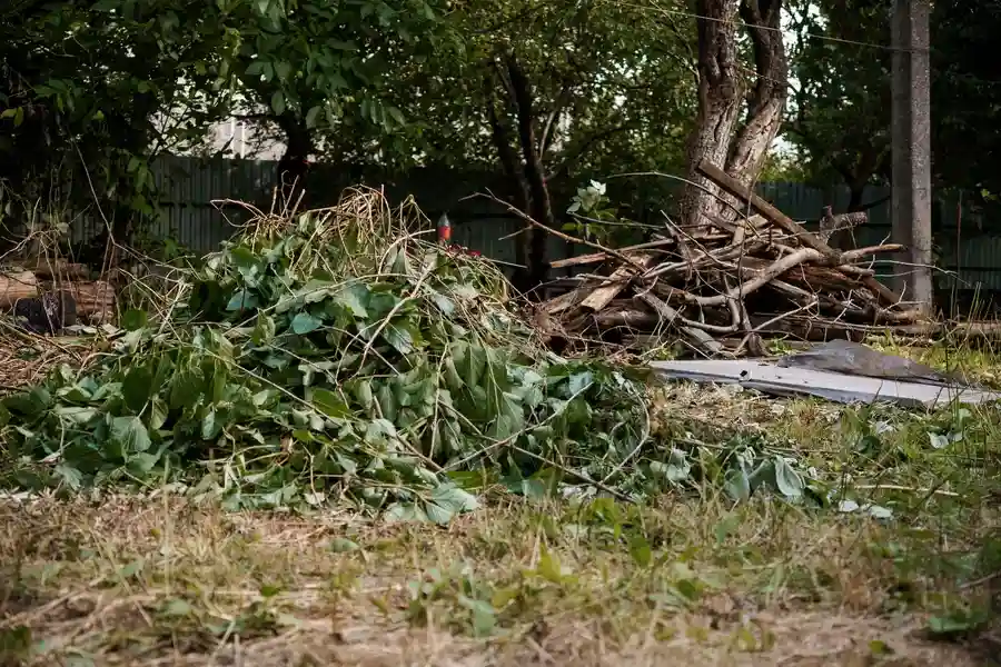 Steps To Prepare For Yard Debris Removal Services in Jupiter, FL Steps To Prepare For Yard Debris Removal Services in Jupiter, FL