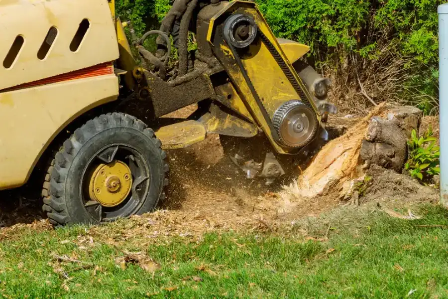 The Connection Between Tree Maintenance And Fire Safety Jupiter, FL The Connection Between Tree Maintenance And Fire Safety Jupiter, FL